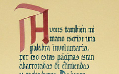 trabajos practicos