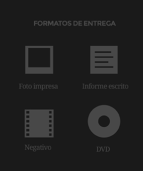 GUIA MATERIALES