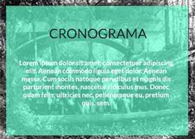 cronograma