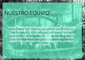 docentes