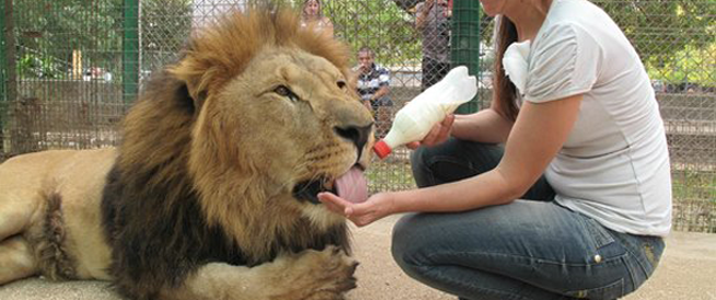 zoo de lujan