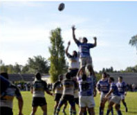 Rugby