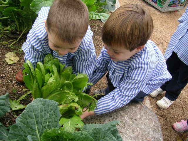 proyecto huerta