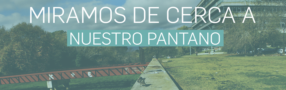 ventana