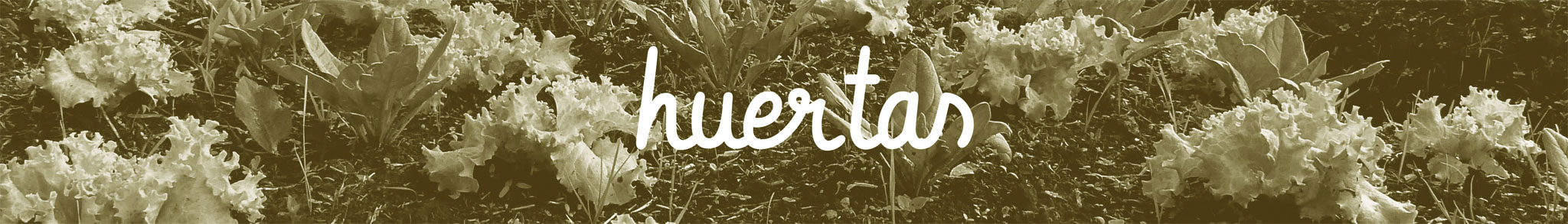 territorio