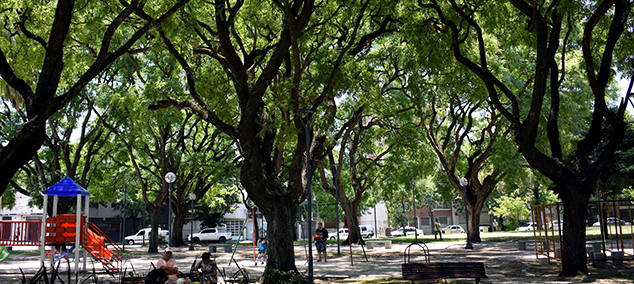plaza matheu