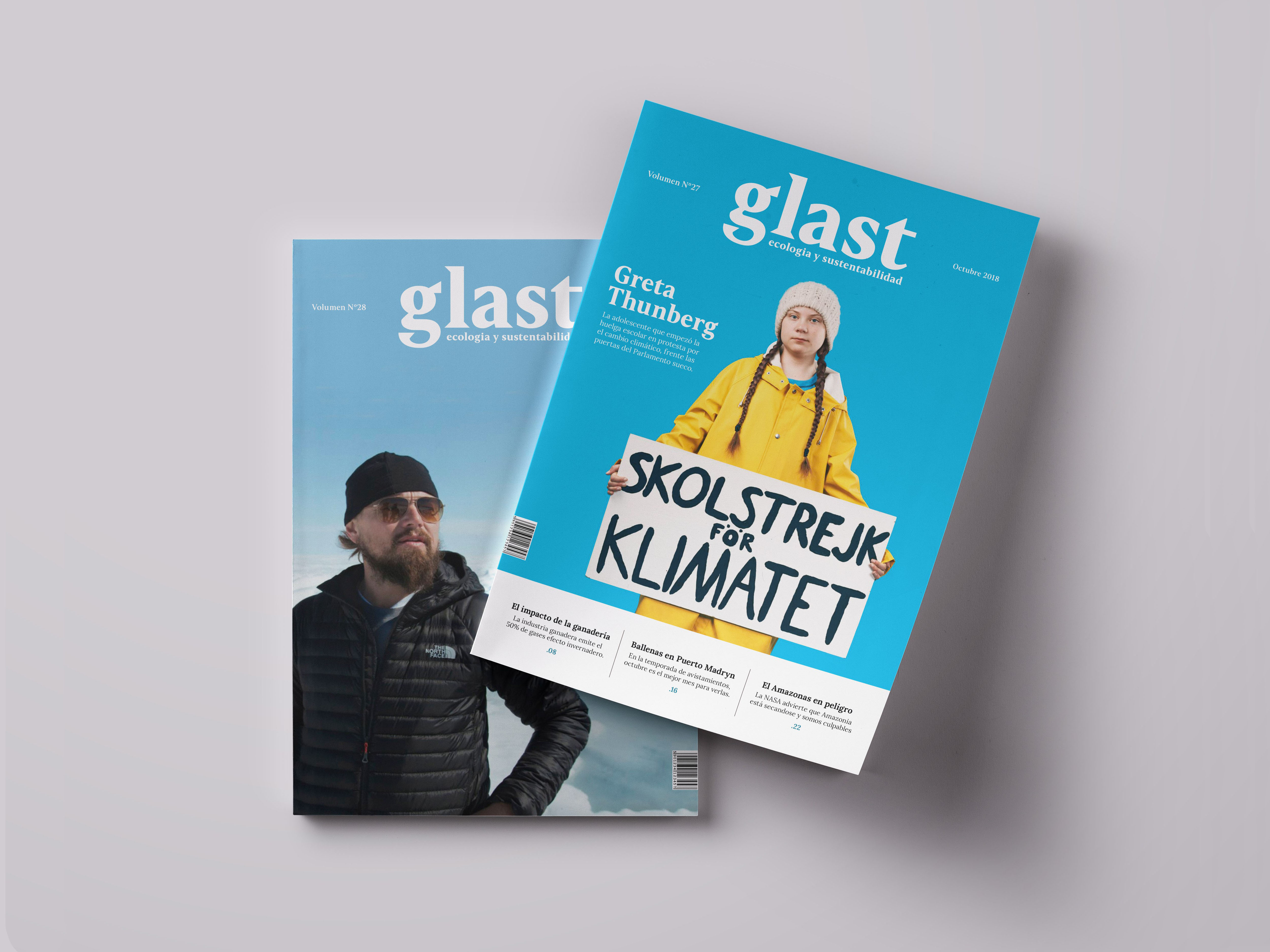 Revista