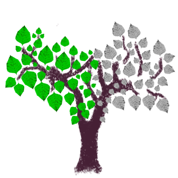 Arbol