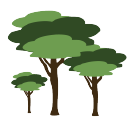 arbol