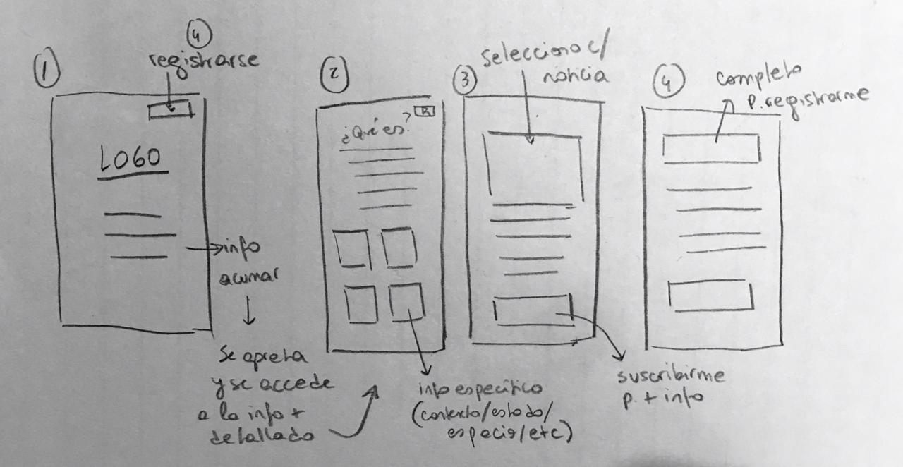 Boceto