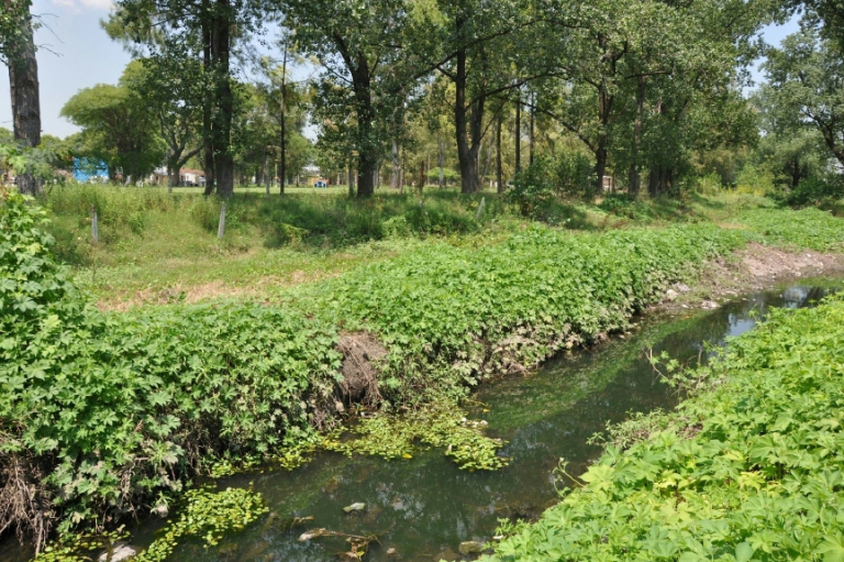 verde2