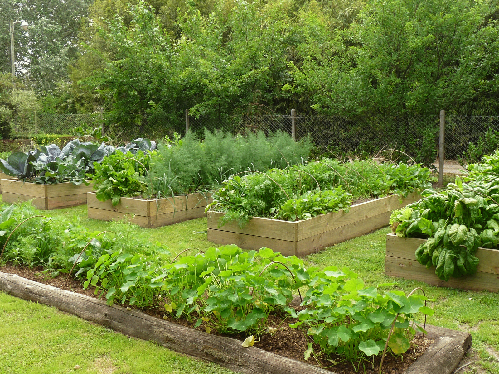 huerta organica