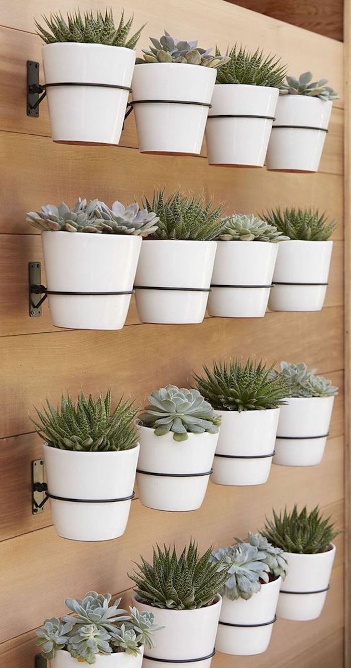 jardines verticales
