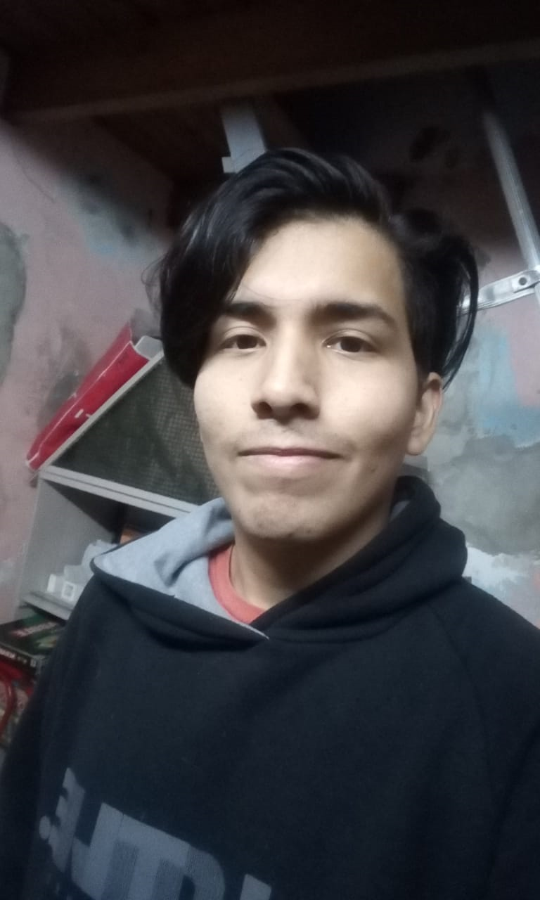 perfil