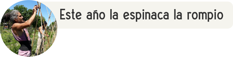 usuario
