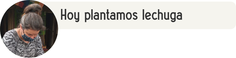 usuario