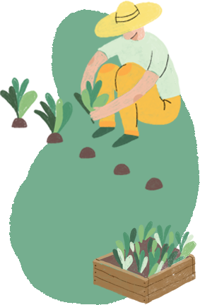 cuidando plantas