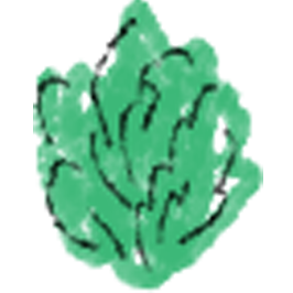 lechuga