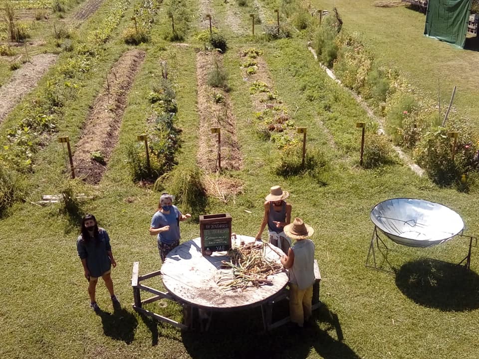 grupo en la huerta