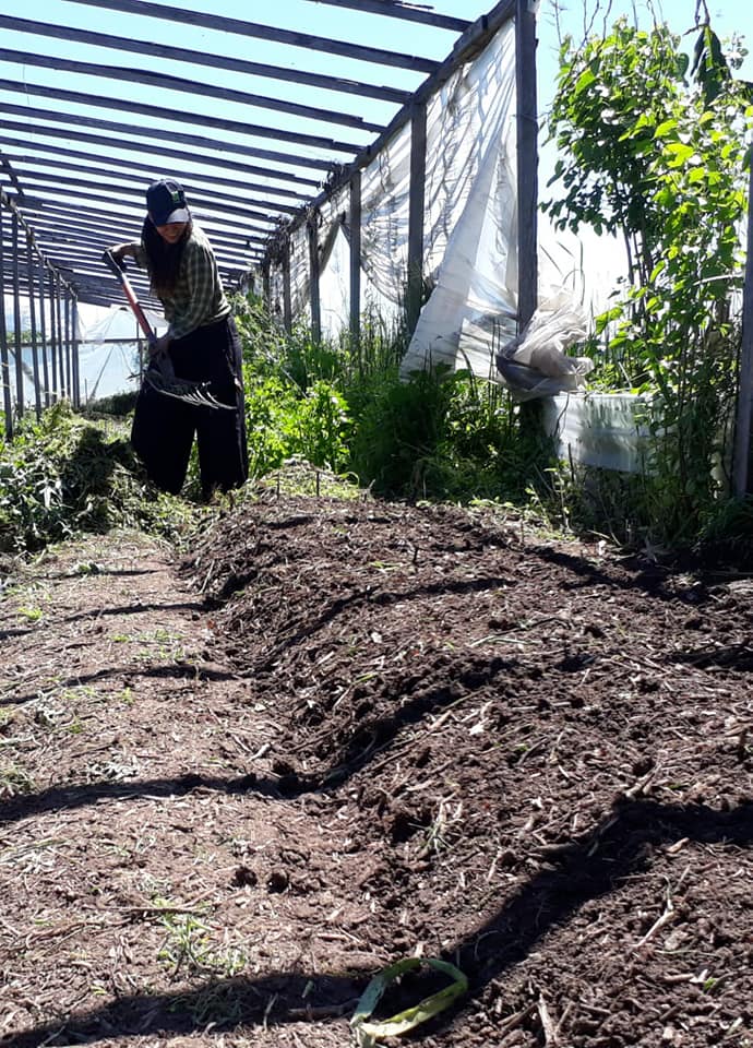 trabajo en la tierra