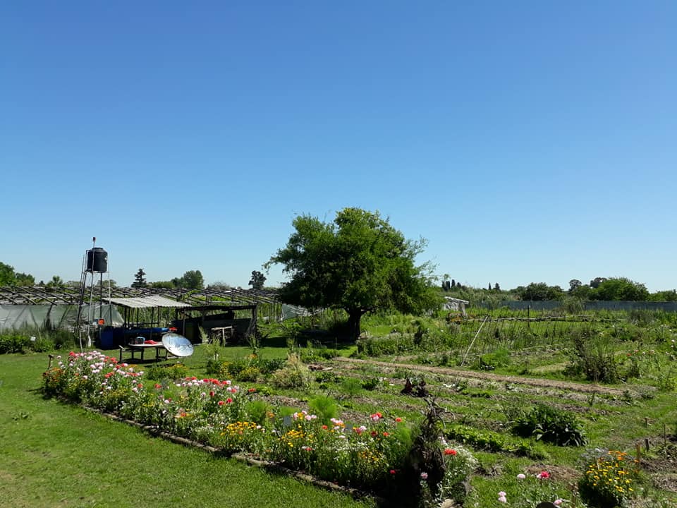 huerta vista panoramica