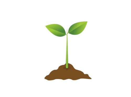 dibujo plantita