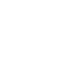 logoface