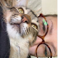 Elvis, mi gato