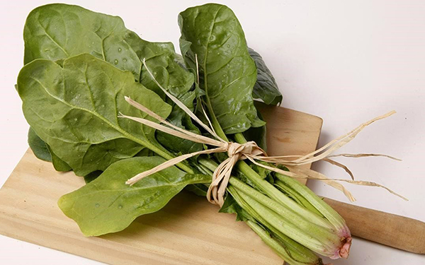 Espinaca