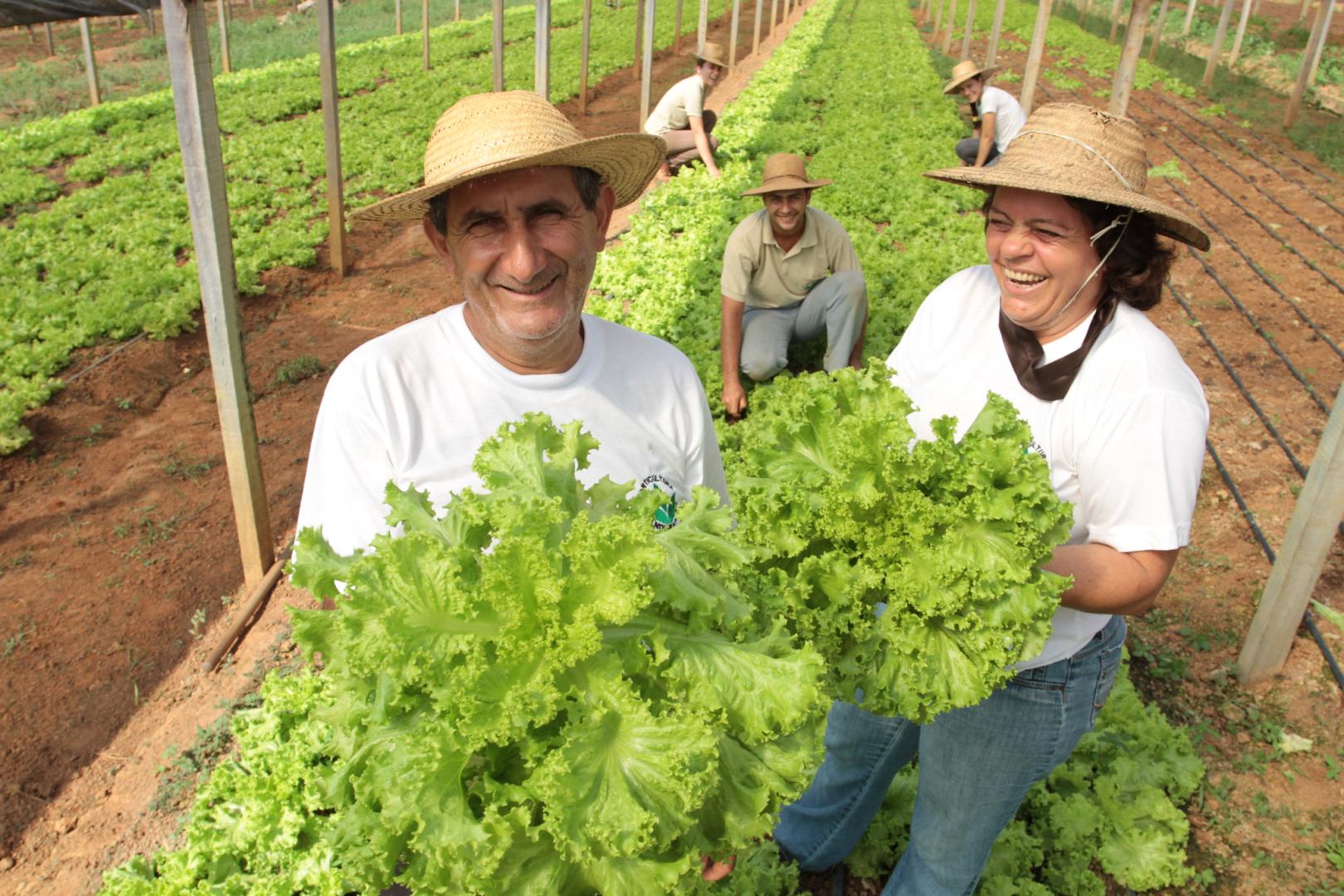 Productor agroecológico
