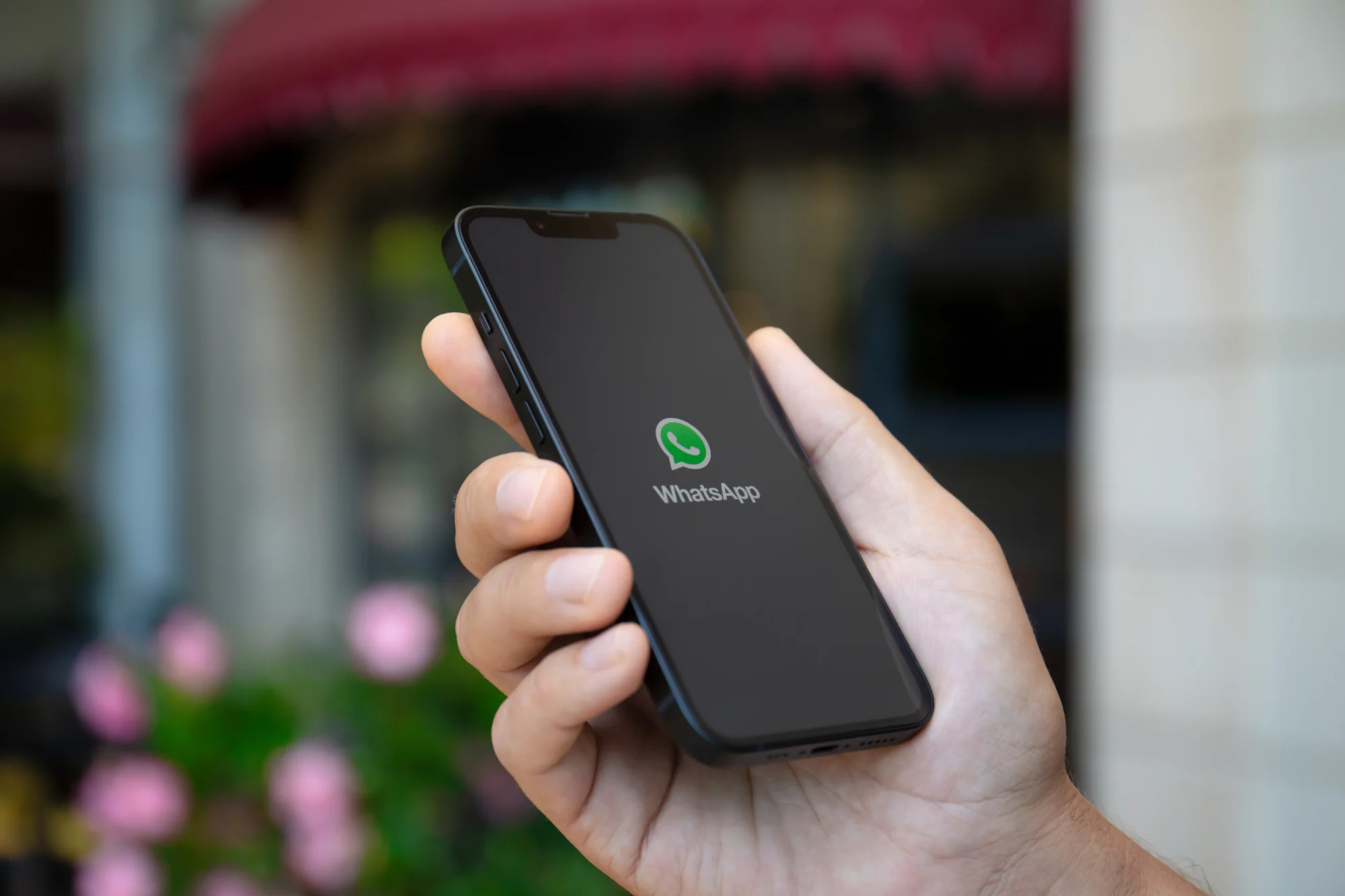 Imagen de una mano sosteniendo un celular con el logo de WhatsApp