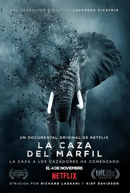 la caza del marfil