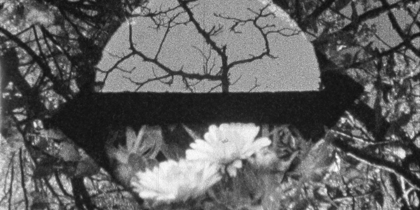 Frame de Resistfilm