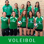 voley