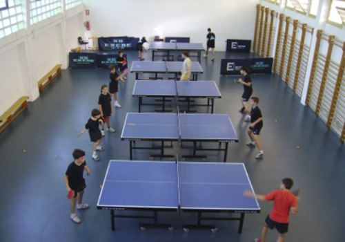 Torneo Tenis Mesa